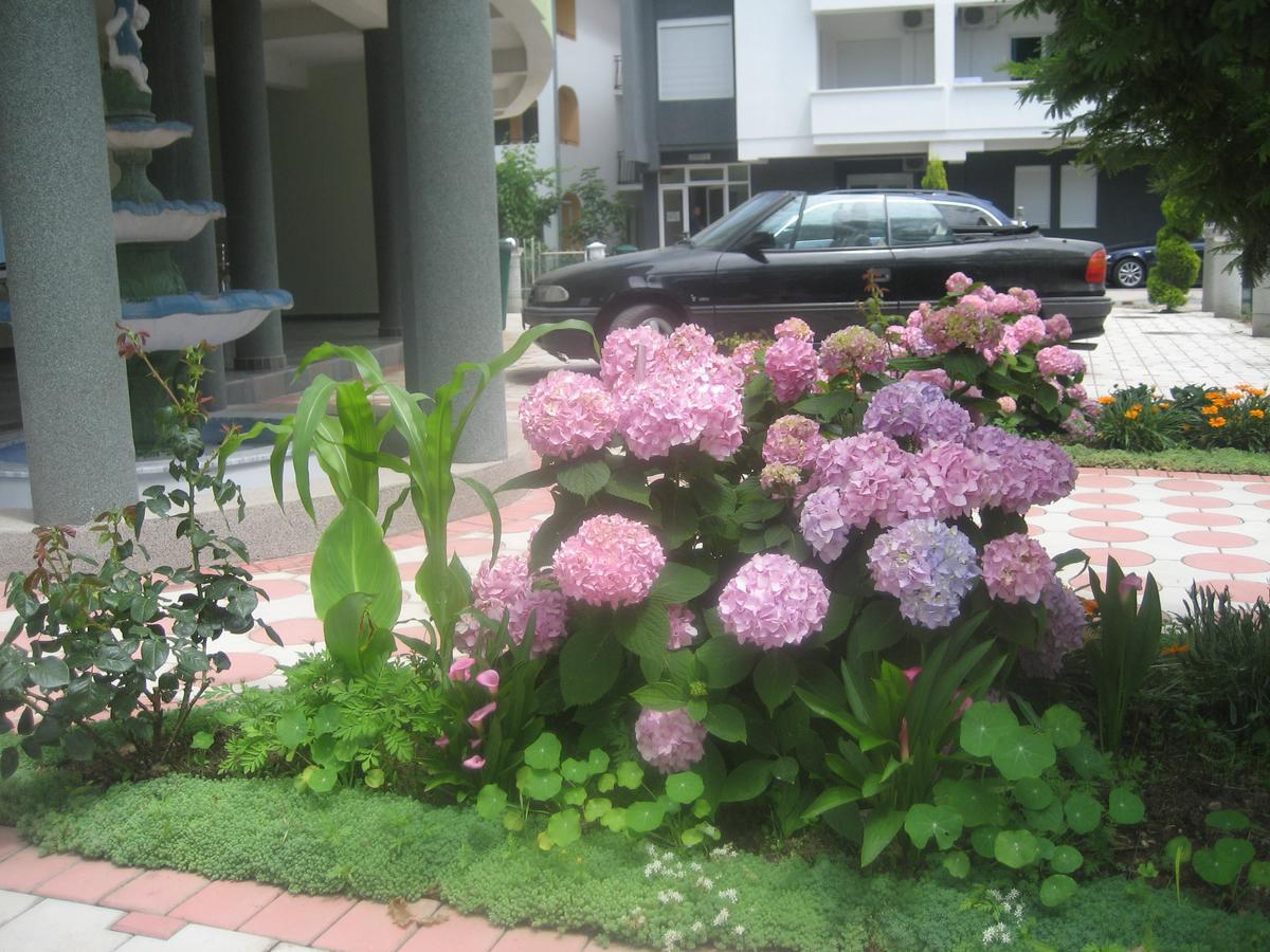 Guest House Vila Mimoza Ulcinj Zewnętrze zdjęcie