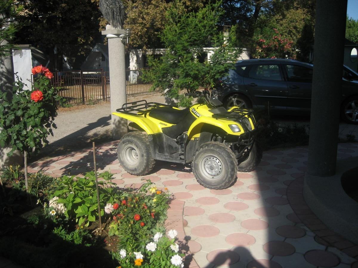 Guest House Vila Mimoza Ulcinj Zewnętrze zdjęcie